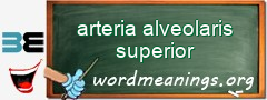 WordMeaning blackboard for arteria alveolaris superior